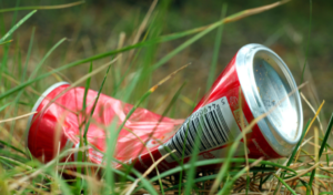 Déchets par Admiral_Lebioda de Pixabay | Le Mahorais